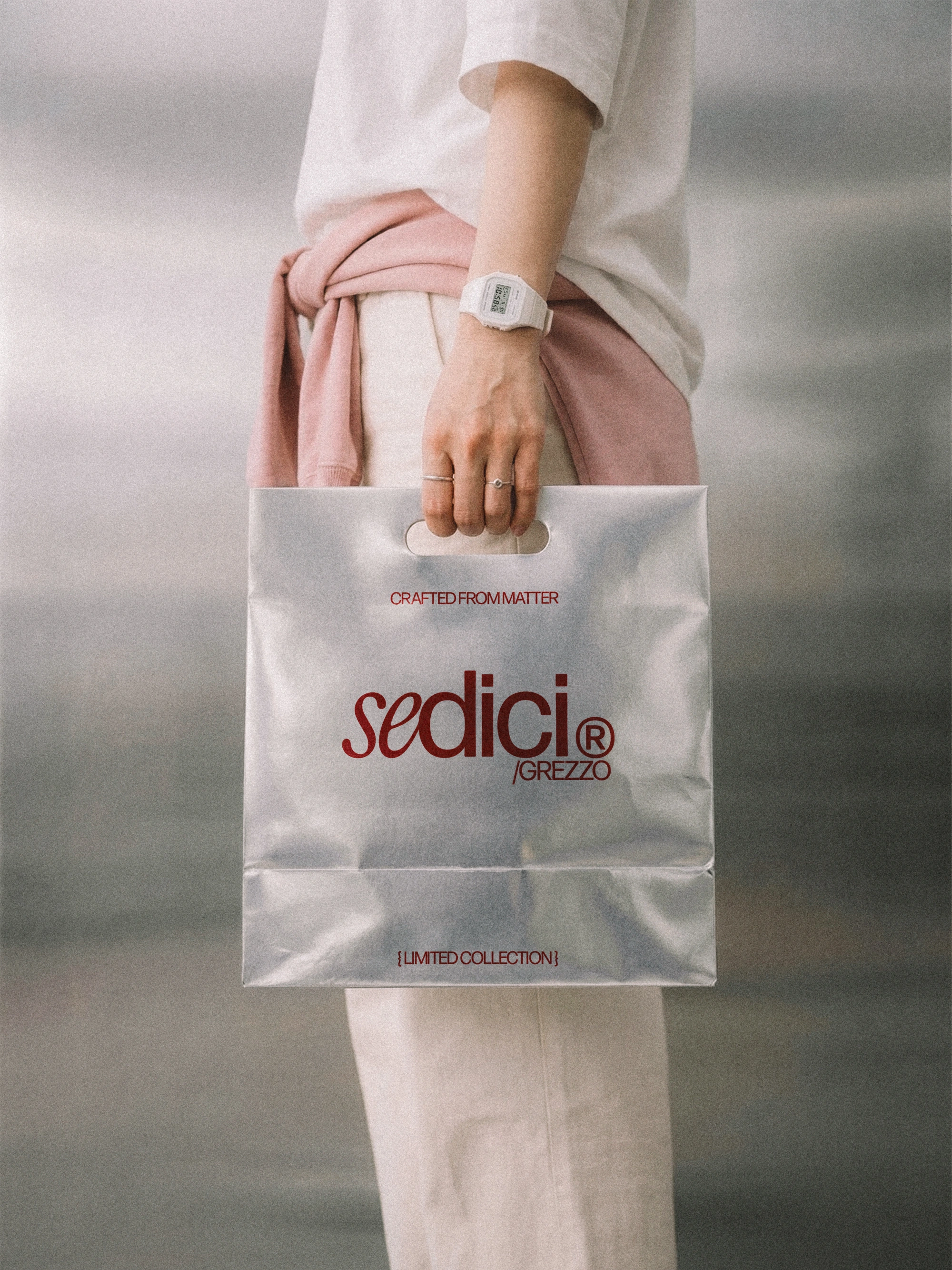 Bolsa de Sedici