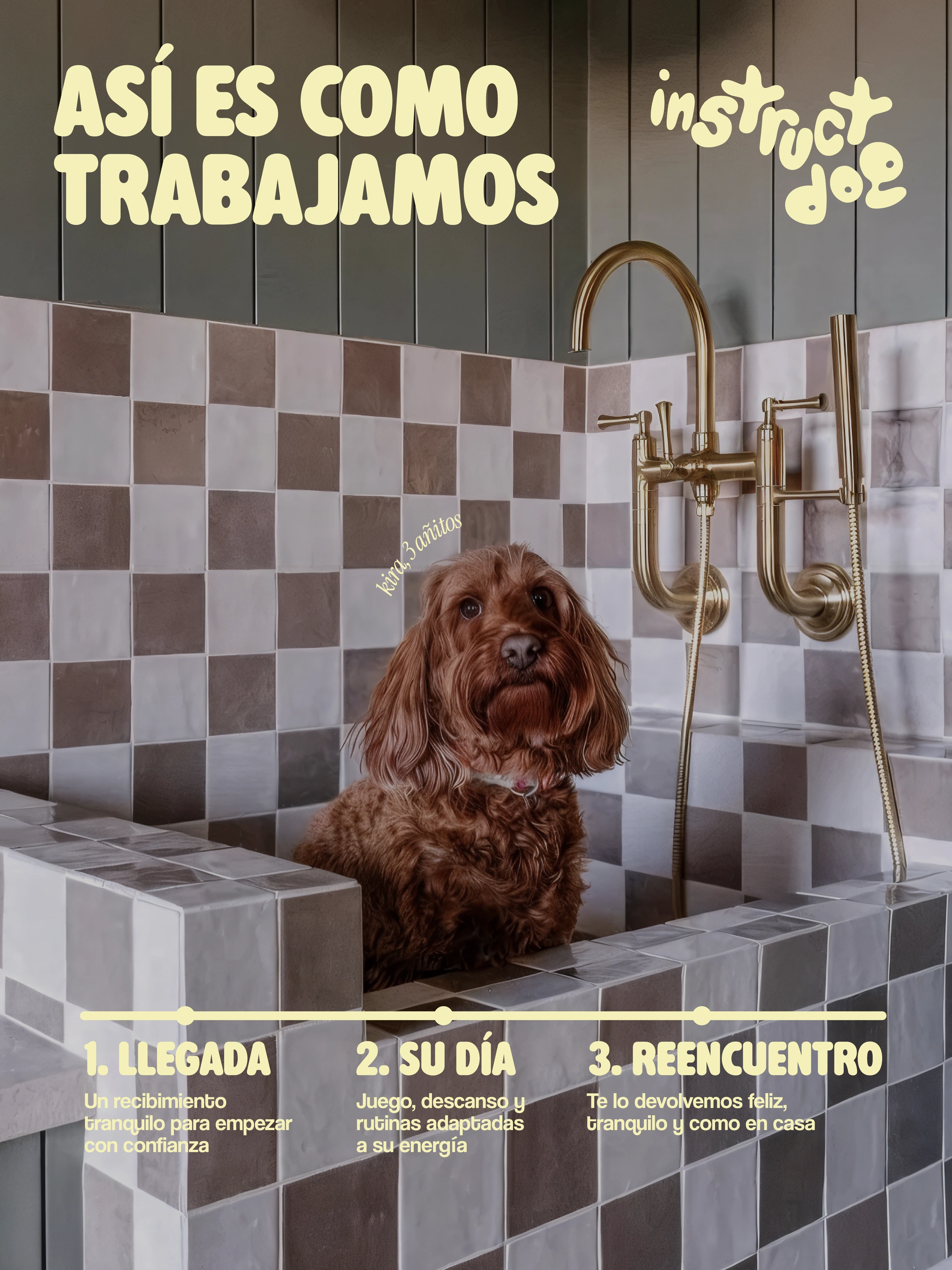 Pieza gráfica de Instruct Dog